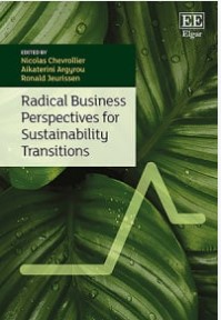 Radical Business Perspectives for Sustainability Transitions