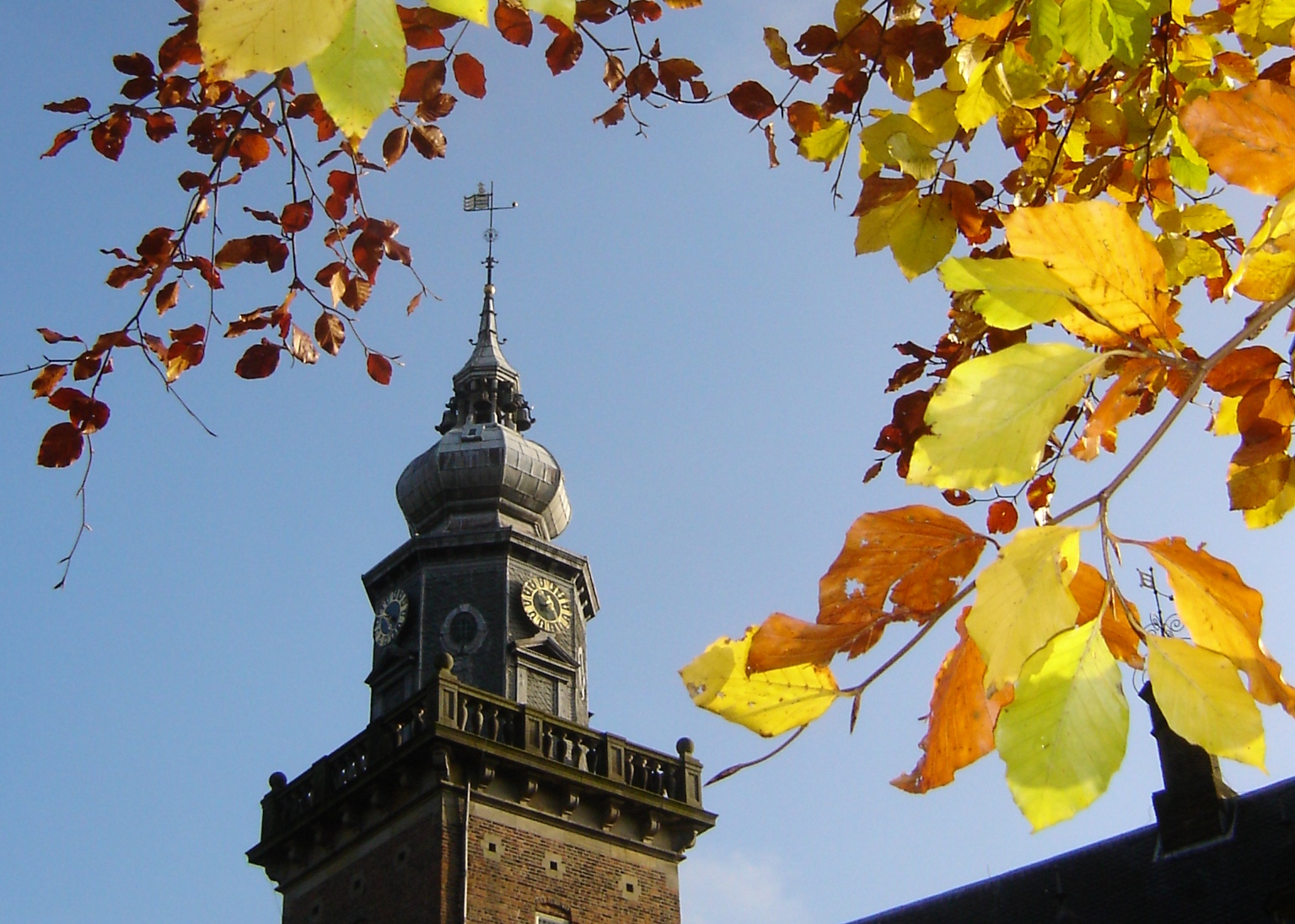 Nyenrode_herfstbeeld