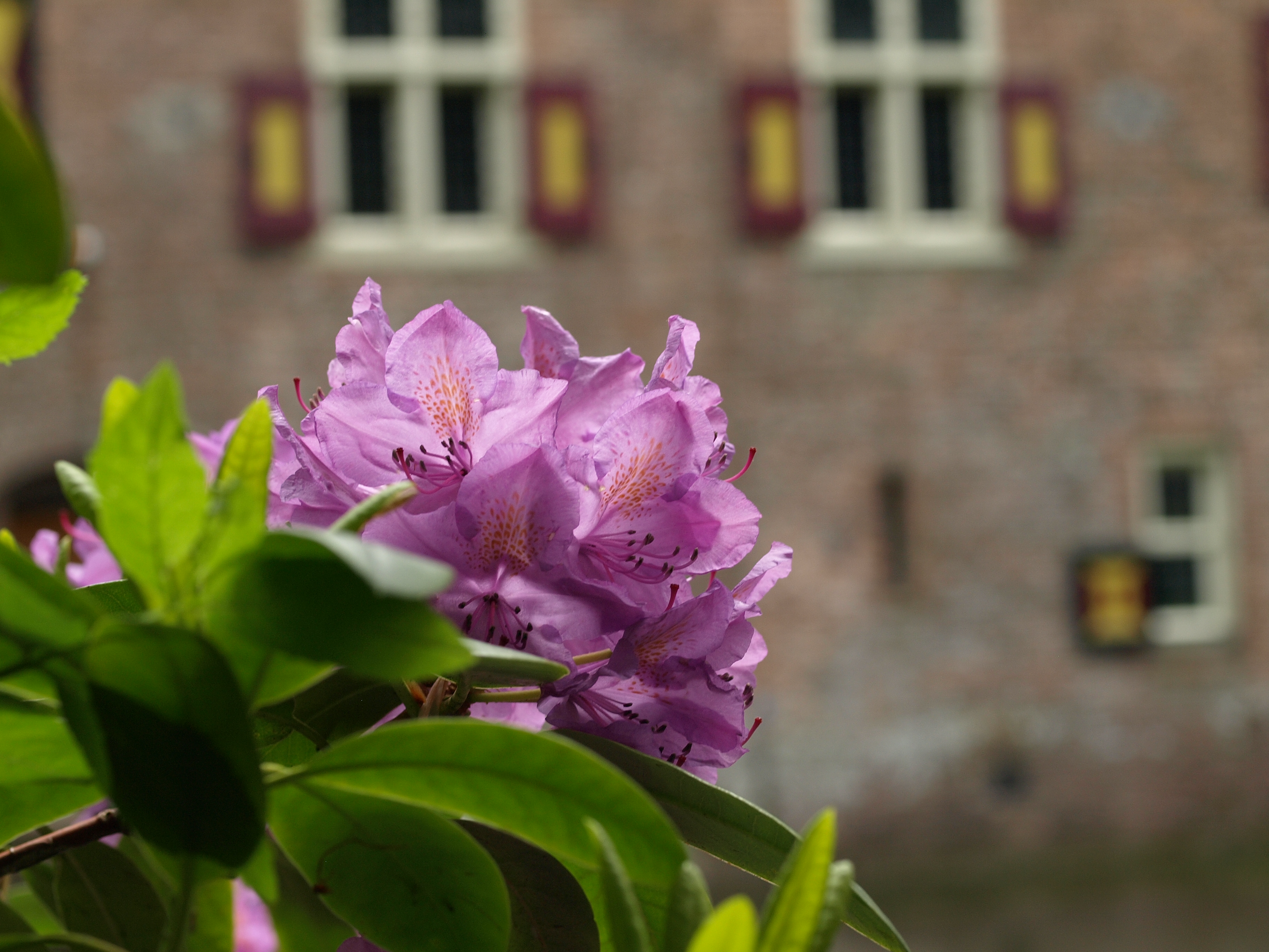 Kasteel Nijenrode