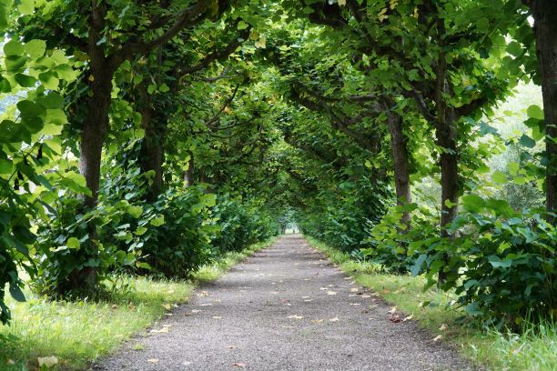 landgoed Nyenrode