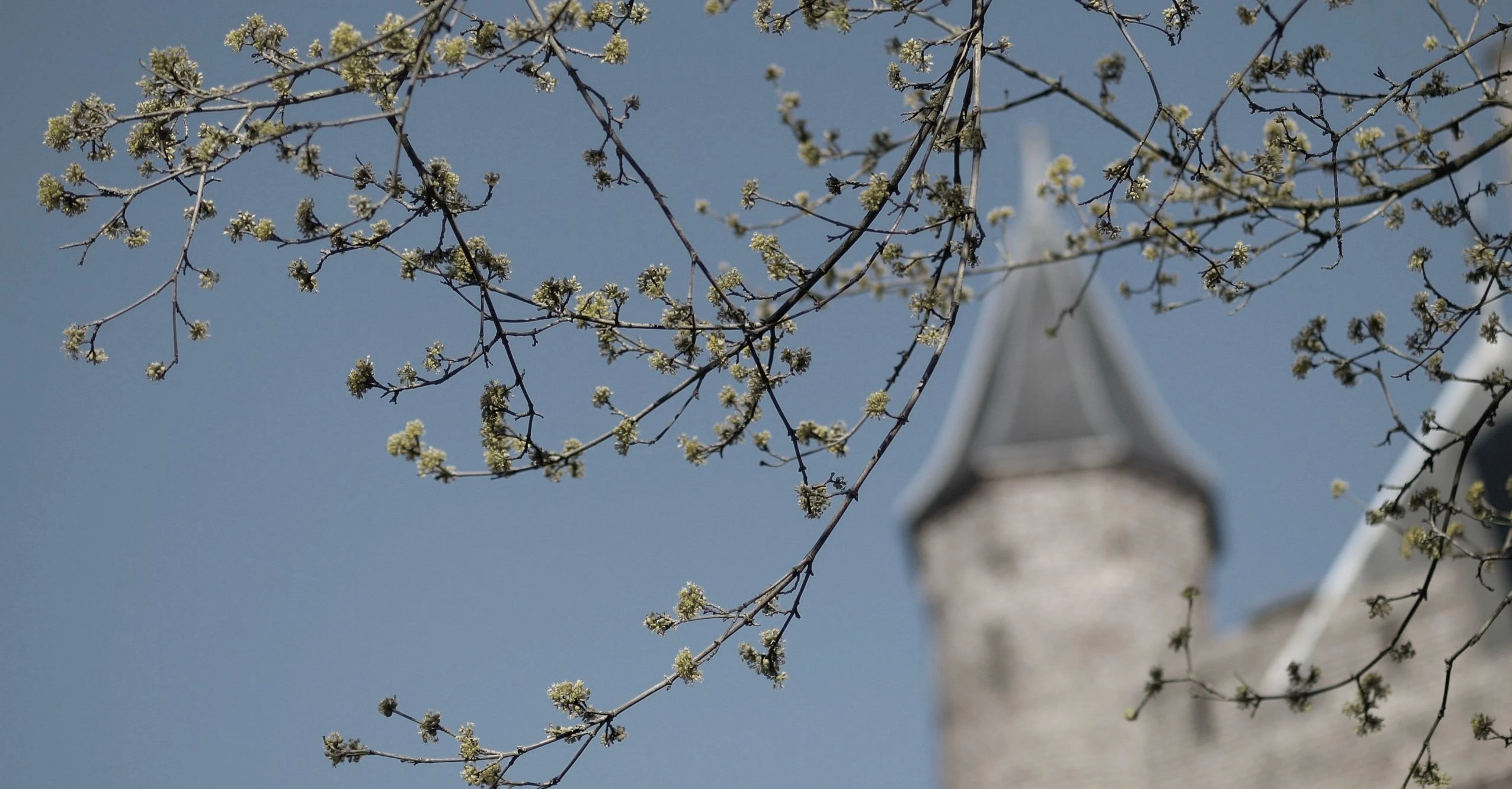 kasteeltoren