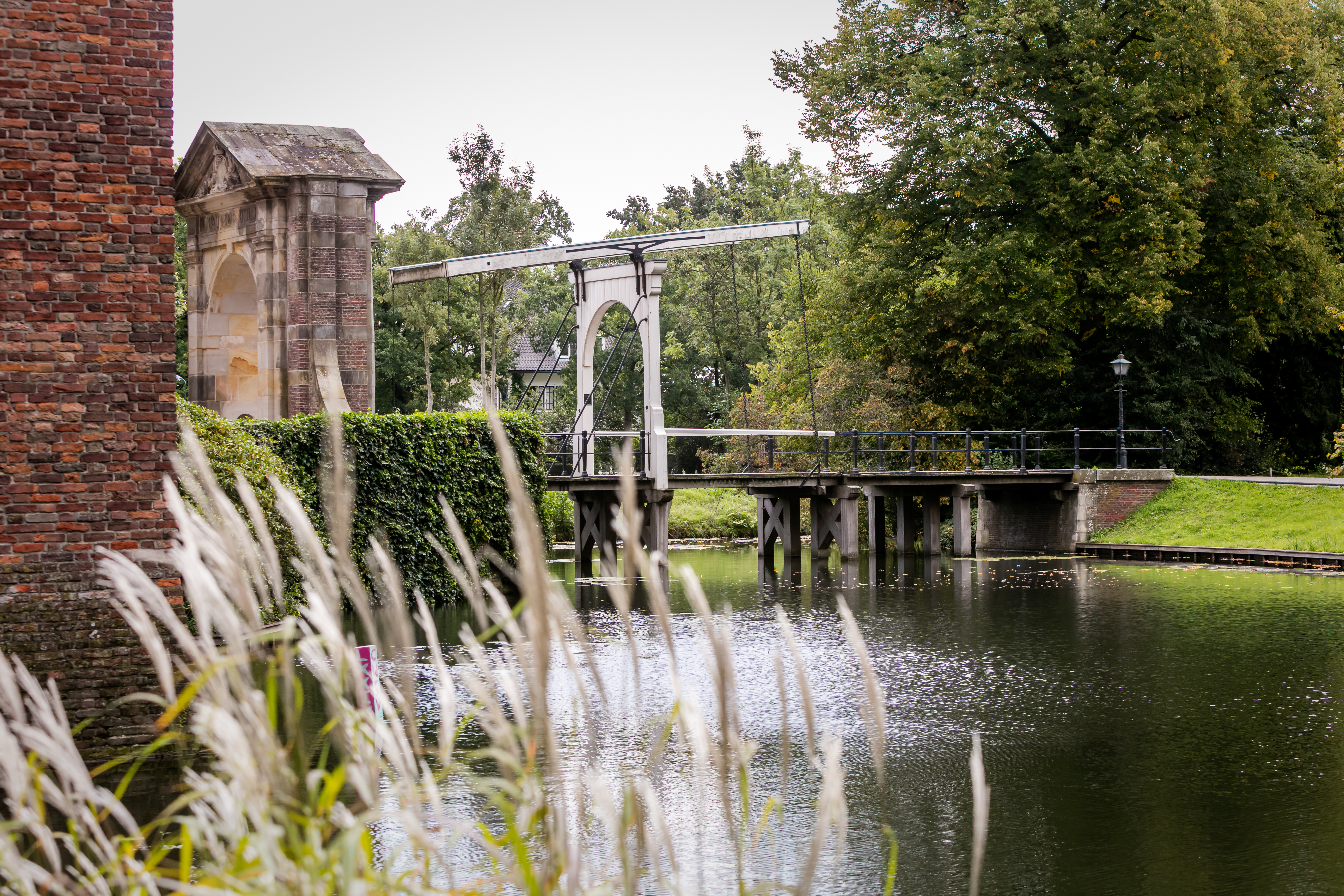 Nyenrode Business